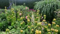 270 – Irland, Powerscourt Gardens
