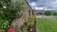 282 – Irland, Powerscourt Gardens