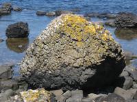Giants Causeway