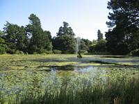 Powerscourt Garden
