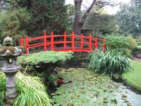 Nationalgestüt Kildare - Japanischer Garten