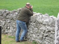 Horst in typischer Position