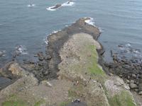 Giants Causeway