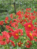 Glenveagh Nationalpark