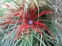 Glenveagh Nationalpark