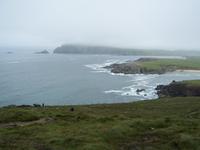 Blick auf die Dinglebucht