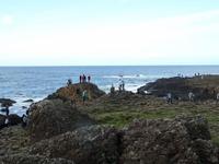 Giants Causeway