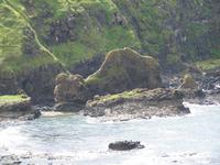 Giants Causeway- The camel