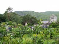 Glenveagh castle-garden