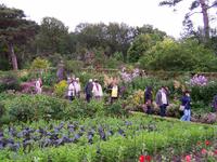 Glenveagh castle-garden