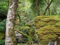 Spaziergang am Lough Veagh