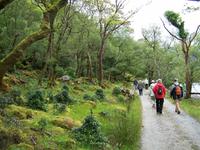 Spaziergang am Lough Veagh