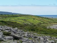 Blick vom Black Head-Aussichtspunkt