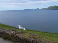 Blick vom Slea Head-Aussichtspunkt