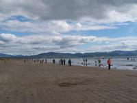 Inch beach