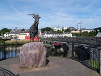 King Puck in Killorglin