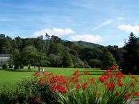 Muckross House-garden