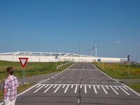 Fluttor an der Maas bei Rotterdam