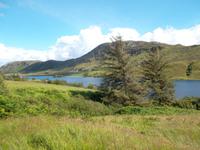 Blick zum Finn-See kurz vor Letterkenny