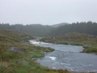 Flussidylle Connemara ...
