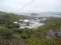 ... in typischer Landschaft