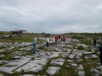 der Burren besteht aus Kalk-Karst