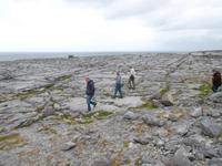 hier läuft man besser vorsichtig -