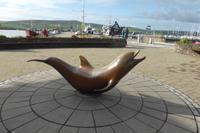 500-Dingle