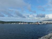 502-Dingle
