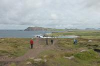 508-Dingle