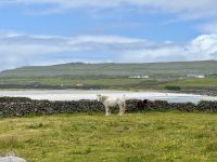 6. Reisetag – Wandern auf den Aran Islands