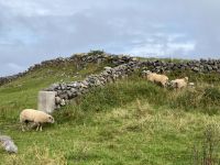 6. Tag – Wandern auf den Aran Islands