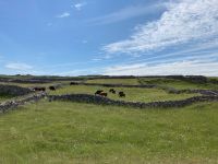 6. Tag – Wanderung auf Inishmore