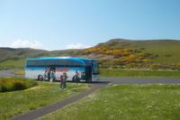 Der Bus steht mitten im irischen Grün