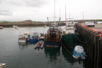 der kleine Hafen von Burtonport