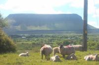 Landschaft am Tafelberg Benbulben