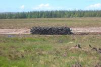 Torfstechen gehört überall dazu