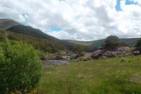 Landschaftsimpression Connemaras