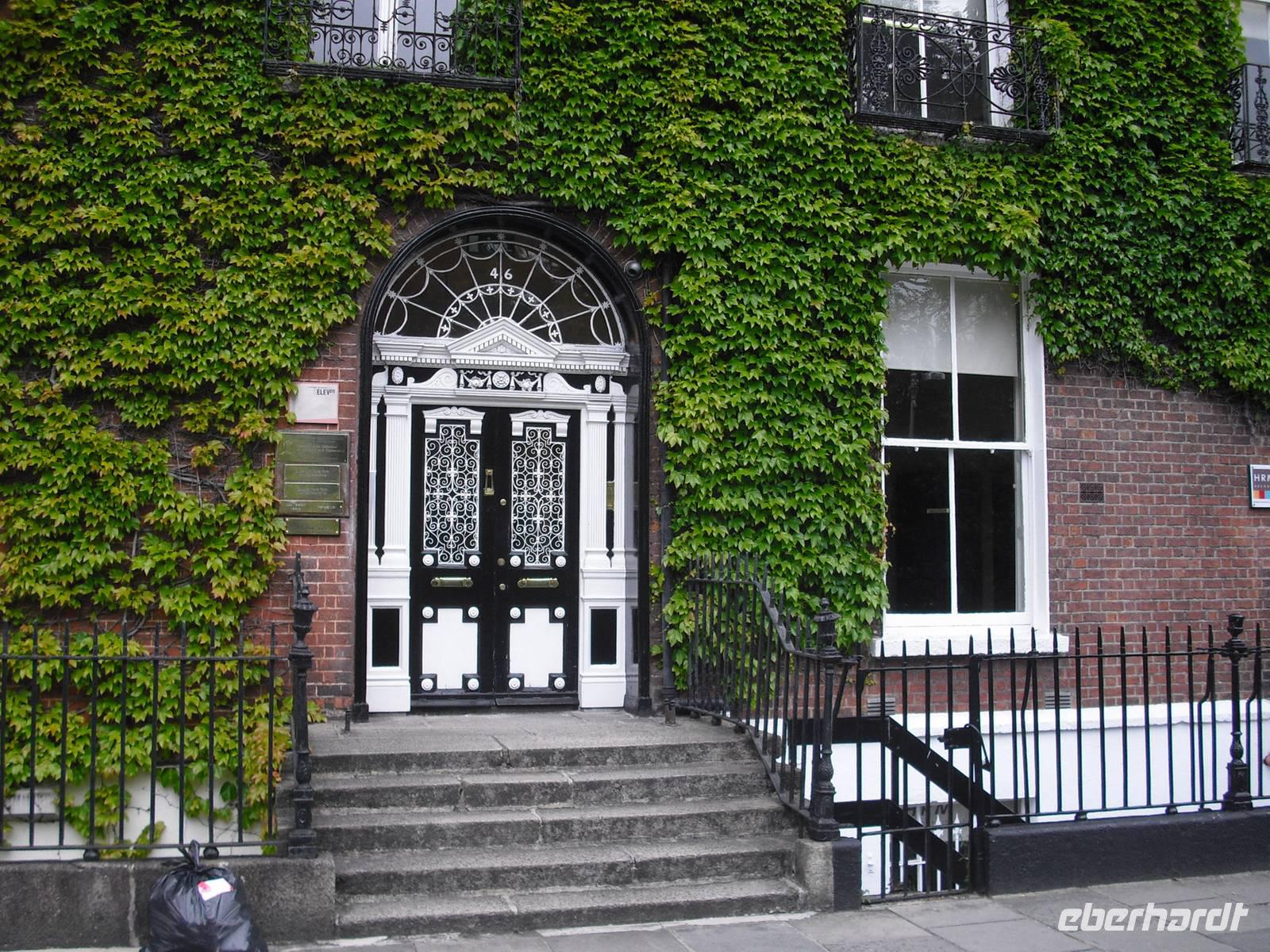 Eine der berühmten `Doors of Dublin`