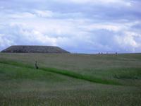 Megalithgräber in Carrowmore bei Sligo