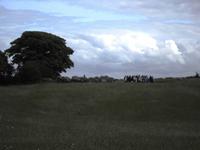 Megalithgräber in Carrowmore bei Sligo