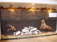 Besuch von Ceide Fields