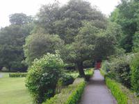 Coole Park - Ireland