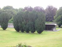 Coole Park - Ireland