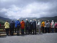 Farmbesuch beim Schäfer - Ring of Kerry