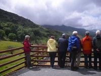 Farmbesuch beim Schäfer - Ring of Kerry