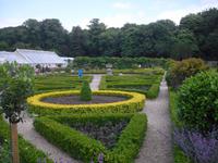 Muckross Garden