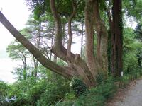  im Glenveagh Nationalpark