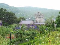 Blütenpracht im Garten von Glenveagh