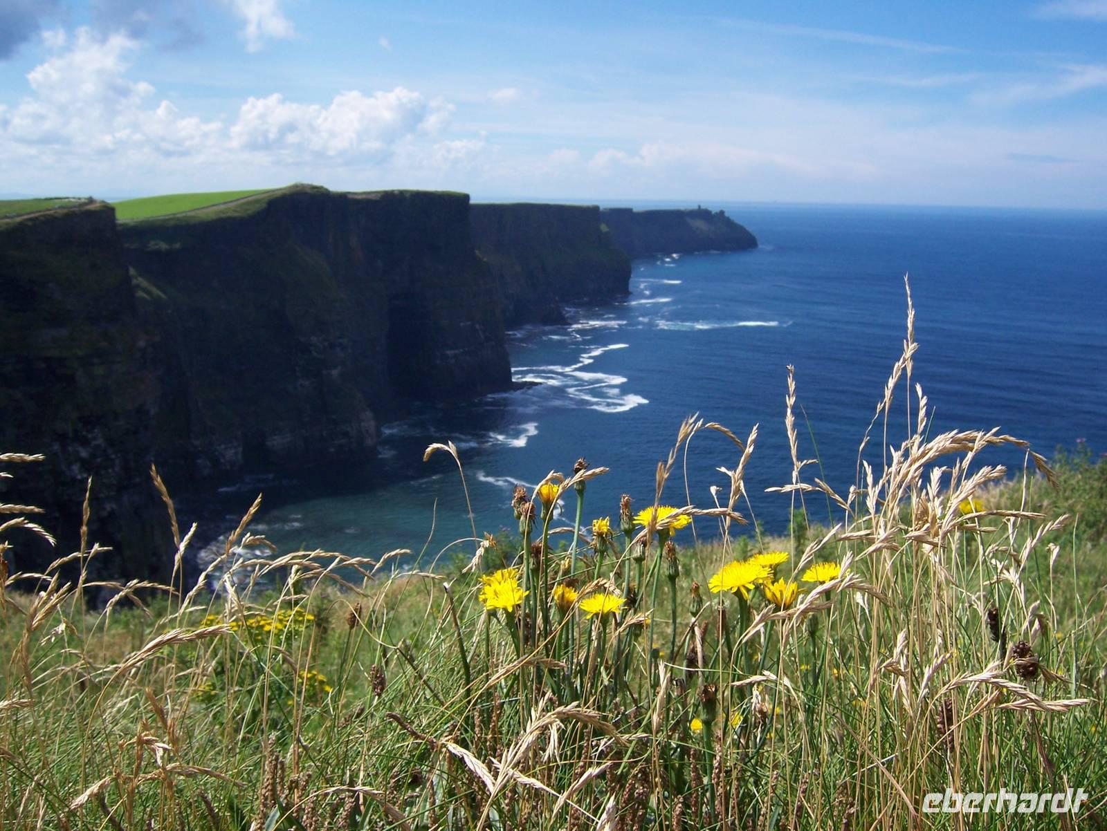  die berühmten Klippen von Moher